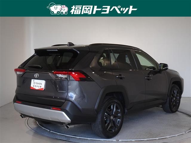 �F�͐����ȃO���[���^���b�N�ł��B