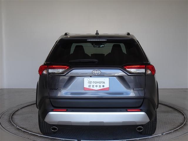 �c�J���̃o�b�N�h�A�ł��A�J�̓����G��ɂ����ł���B