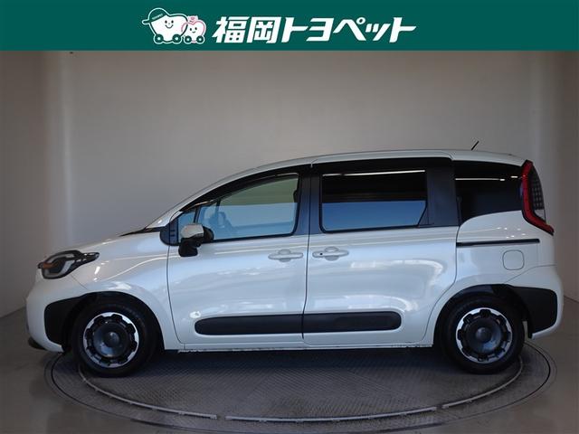 ���s�^�̃V�G���^�@�y�����ׂ��܂����B