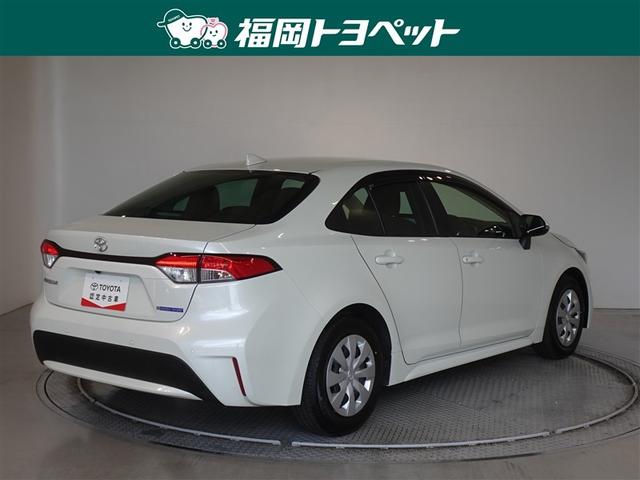 �F�͐l�C�̃z���C�g�p�[���N���X�^���V���C���ł��B