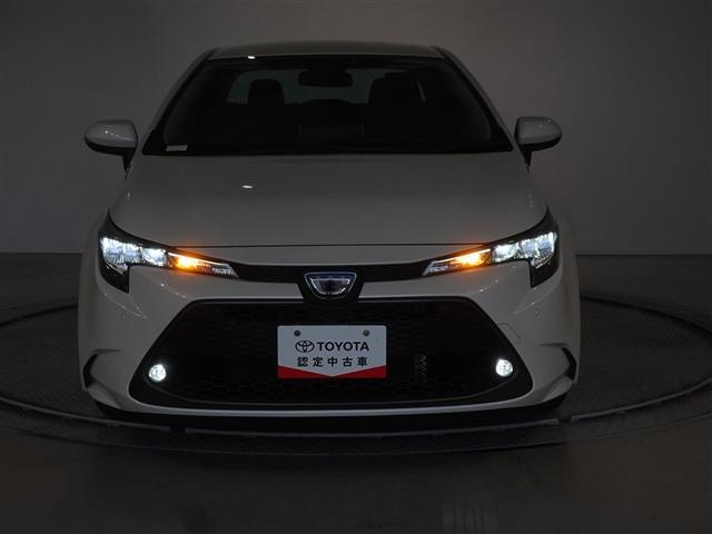 ��Ԃ̃��C�e�B���O��\�����Ă݂܂����B�w�b�h�����v�͂k�d�c�A�ȃG�l�Ŗ��邢�ł���B