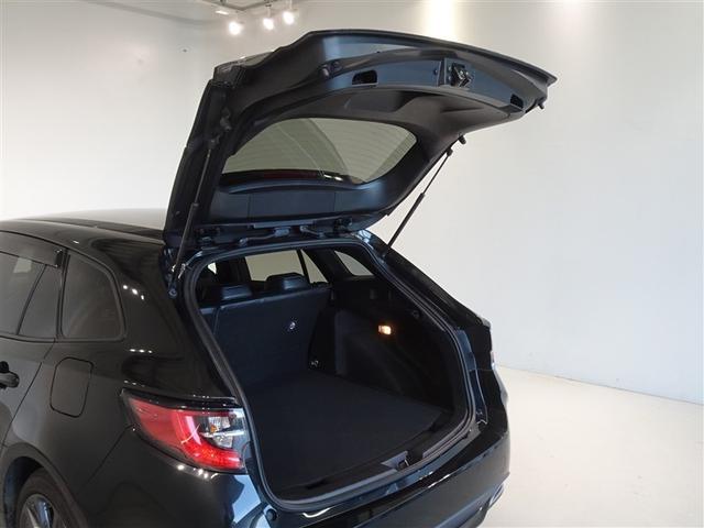 �c�J���̃o�b�N�h�A�ł��B�J�̓����G��ɂ����ł���B