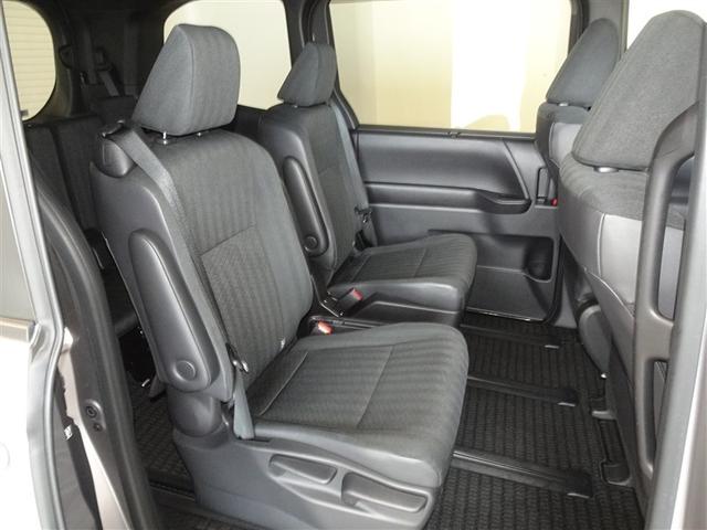 �l�̐G���V�[�g�͔O����ɐ��|�A���L�����{���Ă���܂��B