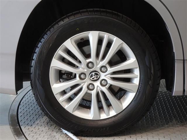 �^�C���̍a�͏\������܂��A�������������萮�����Ă��n���������܂��B