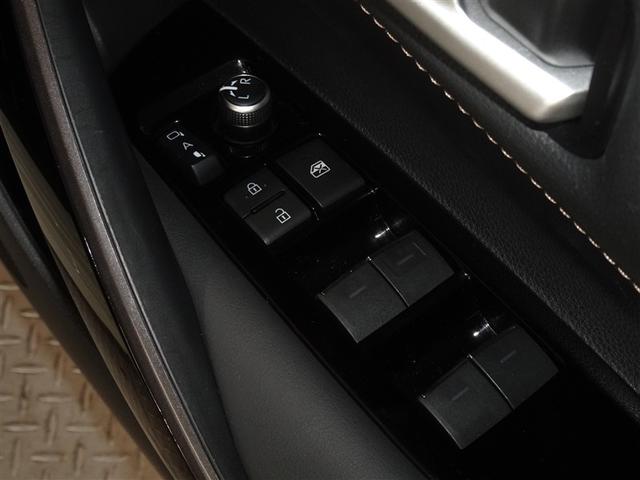 �d���i�[���h�A�~���[�E�p���[�E�C���h�E�𑕔����Ă��܂��B