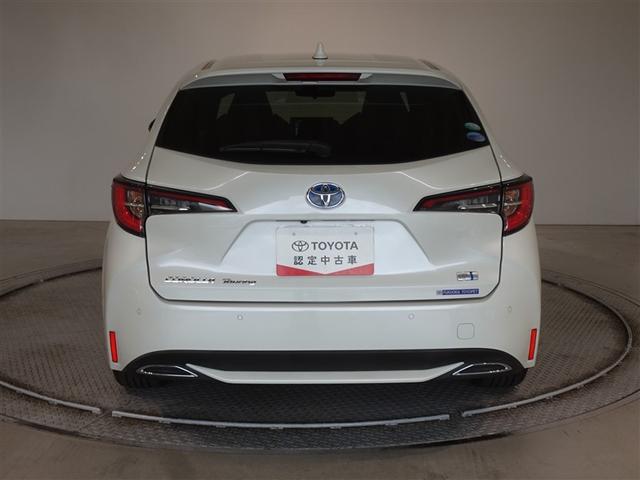 �c�J���̃o�b�N�h�A�ł��A�J�̓����G��ɂ����ł���B