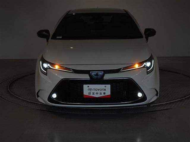 ��Ԃ̃��C�e�B���O��\�����Ă݂܂����B�w�b�h�����v�͂k�d�c�A�ȃG�l�Ŗ��邢�ł���B