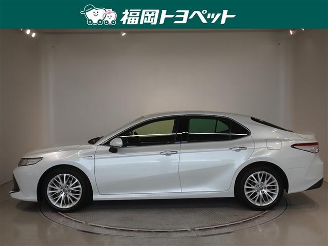 �g���^�̏㋉�Z�_���A�J�����@�f�@���U�[�p�b�P�[�W�����ׂ��܂����B