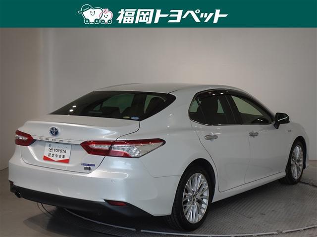 �F�͐l�C�̃v���`�i�z���C�g�p�[���}�C�J�ł��B