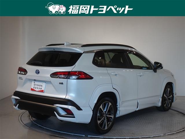 �F�͐l�C�̃v���`�i�z���C�g�p�[���}�C�J�ł��B