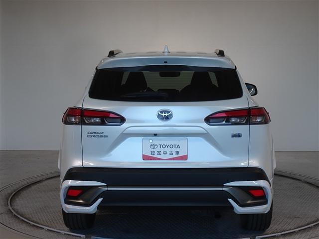 �c�J���̃o�b�N�h�A�ł��A�J�̓����G��ɂ����ł���B