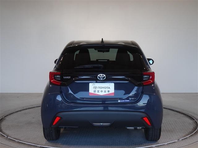 �c�J���̃o�b�N�h�A�ł��A�J�̓����G��ɂ����ł���B