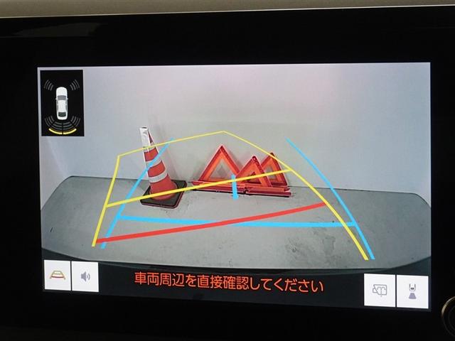 �o�b�N�K�C�h���j�^�[�𑕔����Ă��܂��A�Ԍɓ�������N���N�ł��B