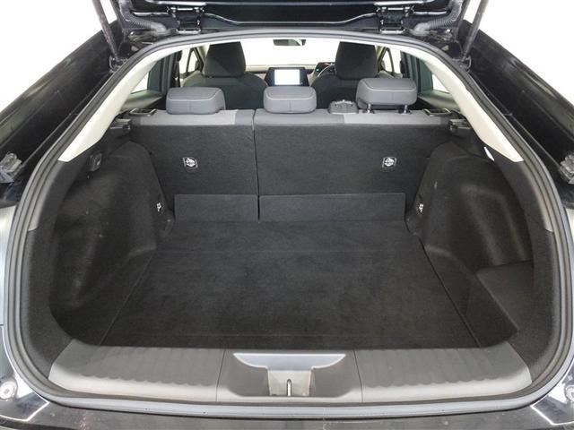 �T�l��Ԏ��ł��\���ȃX�y�[�X�̃g�����N���[���ł��B