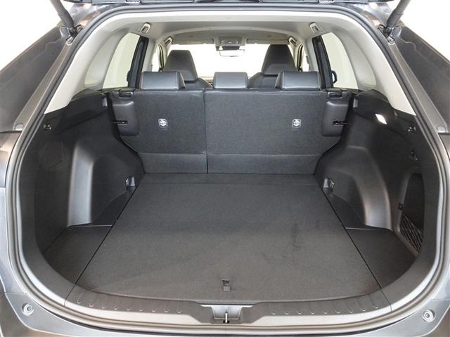 �T�l��Ԏ��ł��\���ȃX�y�[�X�̃g�����N���[���ł��B