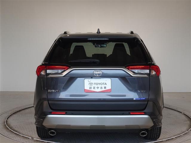 �c�J���̃o�b�N�h�A�ł��A�J�̓����G��ɂ����ł���B