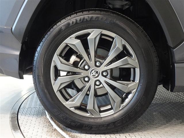 �������Ƒ����������������A�����A���~�𑕔����Ă��܂��B