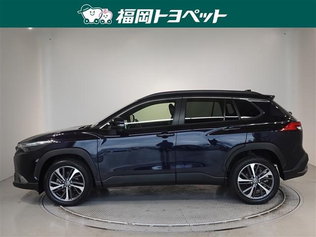 �J���[���̂r�t�u�d�l�A�J���[���N���X�@�y�����ׂ��܂����B