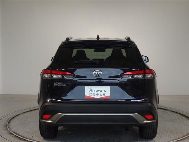 �c�J���̃o�b�N�h�A�ł��A�J�̓����G��ɂ����ł���B