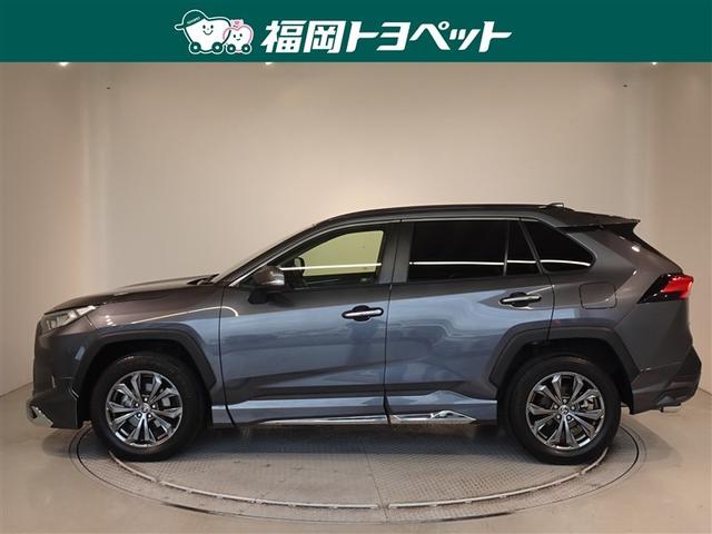 �g���^�̐l�C�r�t�u�A�q�`�u�S�@�f�����ׂ��܂����B