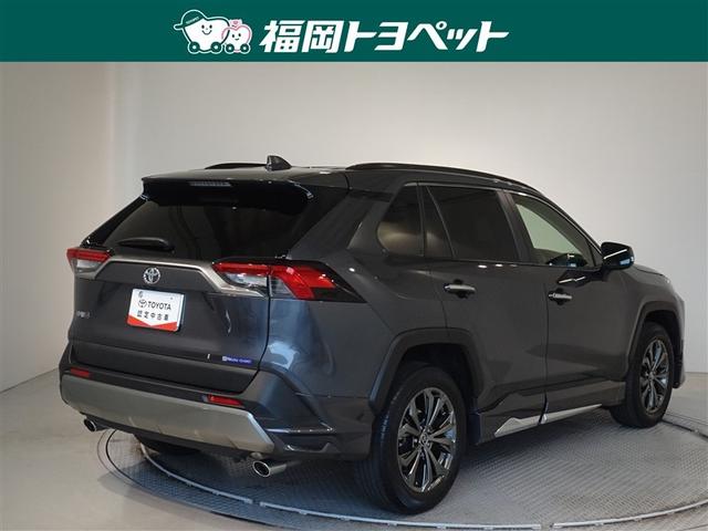 �F�͐����ȃO���[���^���b�N�ł��B