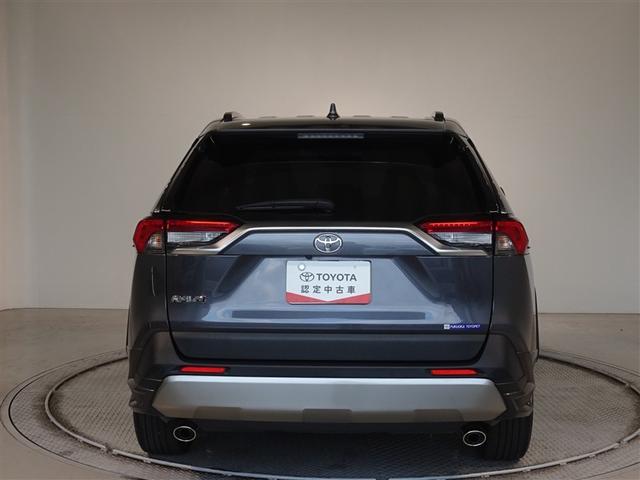 �c�J���̃o�b�N�h�A�ł��A�J�̓����G��ɂ����ł���B