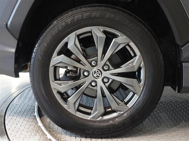 �������Ƒ����������������A�����A���~�𑕔����Ă��܂��B