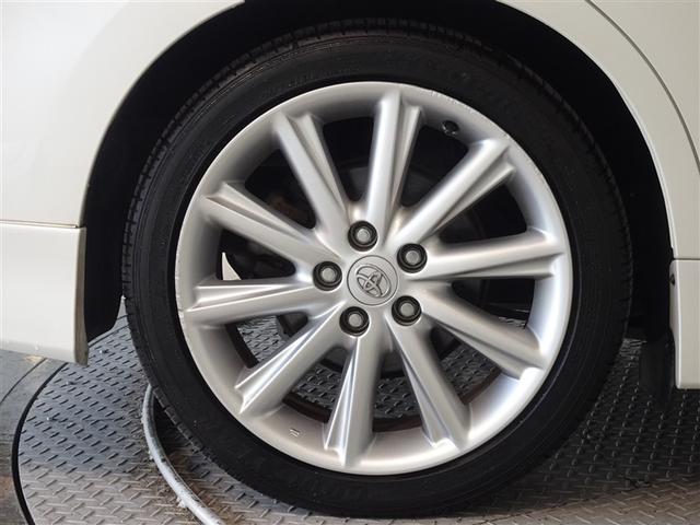 �������Ƒ����������������A�����A���~�𑕔����Ă��܂��B