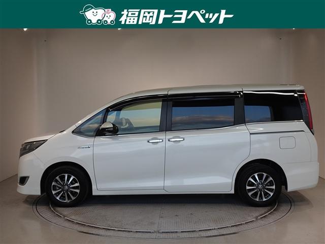 �g���^�̐l�C�~�j�o���A�G�X�N�@�C�A�n�C�u���b�h�@�f�h�����ׂ��܂����B�T�i���o�[�̎��񂵂ƃ��������N��̎����ōD�]�ł��B