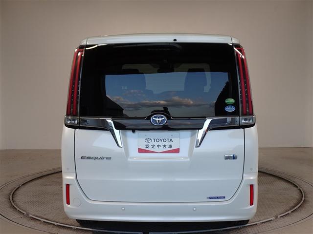 �c�J���̃o�b�N�h�A�ł��A�J�̓����G��ɂ����ł���B