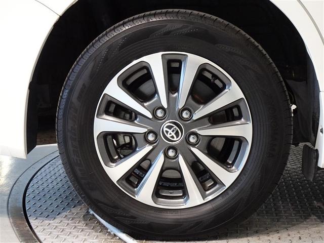 �������Ƒ����������������A�����A���~�𑕔����Ă��܂��B