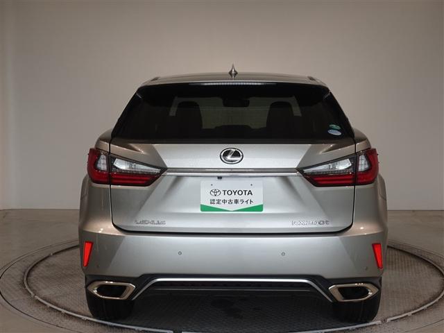 �c�J���̃o�b�N�h�A�ł��A�J�̓����G��ɂ����ł���B