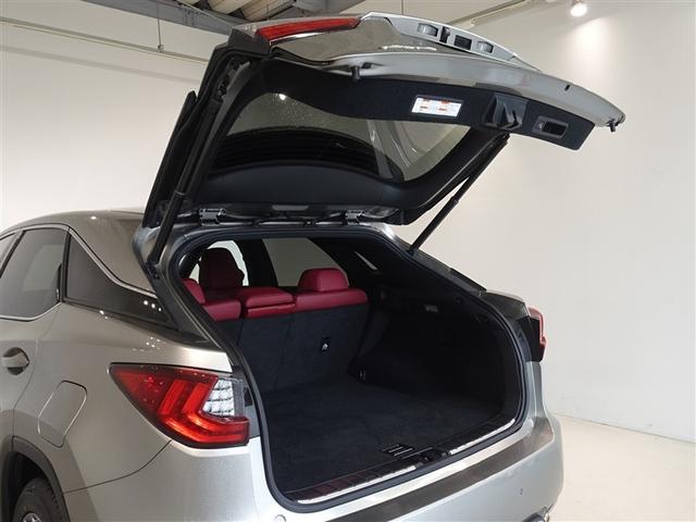 �o�b�N�h�A���J������Ԃł��B