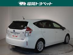 ���Ͽ͵��Υۥ磻�ȥѡ��륯�ꥹ���륷�㥤��Ǥ��� 3