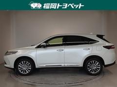 �ȥ西�ο͵��ӣգ֡��ϥꥢ�����ץ�ߥ��ब���٤��ޤ����� 2