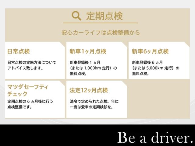キャロル 660 GL 衝突軽減ブレーキ 運転席シートヒーター スマートブレーキサポート クリアランスソナー Sヒーター キーレスエントリー オートハイビーム ESC パワステ アイドリングストップ ABS エアコン(39枚目)