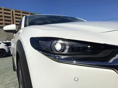 �̣ţĤ���λ볦��ǣ��� 6