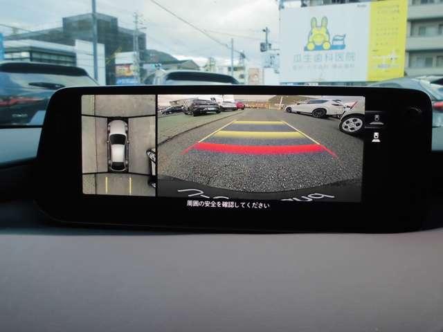 �R�U�O°�r���[���j�^�[�ƃo�b�N�J�������ڂł�����ގ��̕s��������ɂĉ����ł��ˁ�