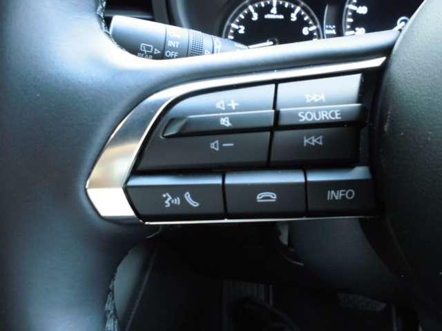 �����̓I�[�f�B�I�X�C�b�`