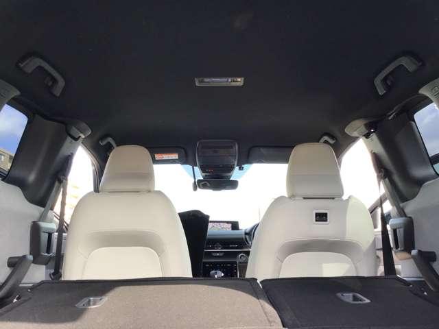 �V����Y��ł������͒��ÎԂ�����Ƃ��ɓV���ǂ�����悤�ɂ��Ă��܂����������Y��ȎԂ͎ԓ����Y��Ȃ��Ƃ������ł���