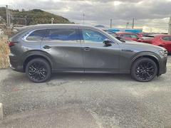 ����ޤ�������ޤǡ��ͤ��ܤ˱Ǥꤳ���Ρ�����ͤ�̥λ���������������������ۤ��ǥޥĥ��ǥ������¤��Ф���Ƥ��ޤ��� 5