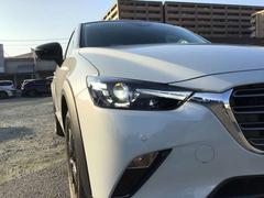 �͵��Σ̣ţĥ饤�ȡ���������Ԥ����뤯�Ƴڤˤʤ�ޤ��͡� 6