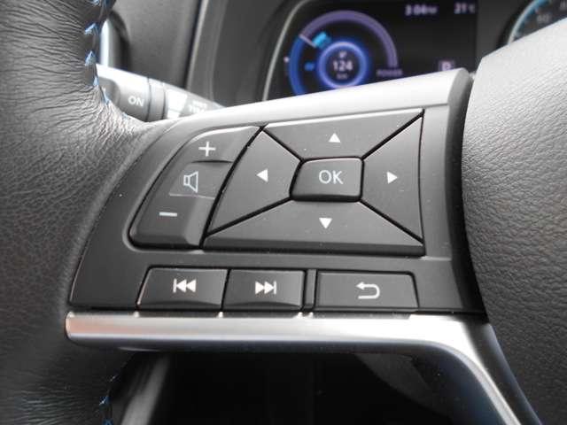 G (40kwh)プロパイロット 衝突軽減ブレーキ(12枚目)