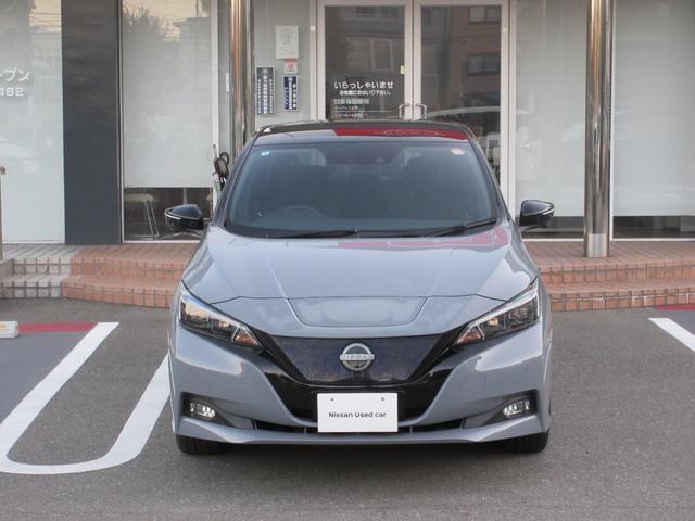 リーフ Ｘ　Ｖセレクション　レーダークルコン　３６０°カメラ　踏み間違い防止装置　ＬＥＤランプ　セキュリティ　１オーナー　ＥＴＣ　インテリキー　レーンキープアシスト　サイドエアバッグ　パワーウィンドウ　ＡＢＳ　メモリ－ナビ　ＡＷ（22枚目）