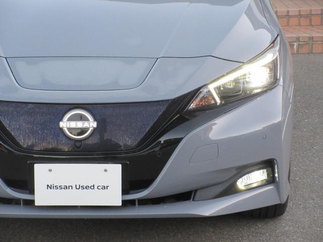 リーフ Ｘ　Ｖセレクション　レーダークルコン　３６０°カメラ　踏み間違い防止装置　ＬＥＤランプ　セキュリティ　１オーナー　ＥＴＣ　インテリキー　レーンキープアシスト　サイドエアバッグ　パワーウィンドウ　ＡＢＳ　メモリ－ナビ　ＡＷ（29枚目）