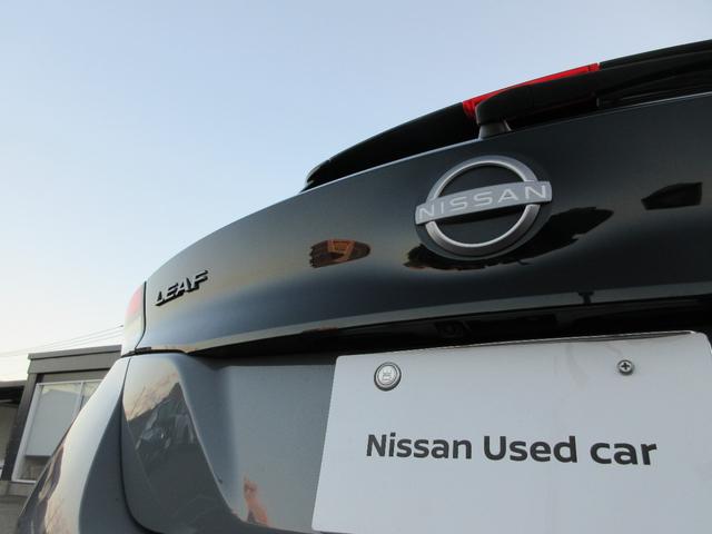 リーフ Ｘ　Ｖセレクション　レーダークルコン　３６０°カメラ　踏み間違い防止装置　ＬＥＤランプ　セキュリティ　１オーナー　ＥＴＣ　インテリキー　レーンキープアシスト　サイドエアバッグ　パワーウィンドウ　ＡＢＳ　メモリ－ナビ　ＡＷ（36枚目）