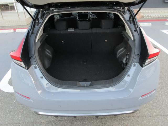 リーフ Ｘ　Ｖセレクション　レーダークルコン　３６０°カメラ　踏み間違い防止装置　ＬＥＤランプ　セキュリティ　１オーナー　ＥＴＣ　インテリキー　レーンキープアシスト　サイドエアバッグ　パワーウィンドウ　ＡＢＳ　メモリ－ナビ　ＡＷ（38枚目）