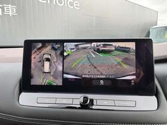 ֤鸫褦ʱǤ롢饦ɥӥ塼˥ǼξդΰǧܤǤǤޤʤͤ㳲ʪǧǤΤǡžΤפǤϤʤɻߤˤΩޤ 5