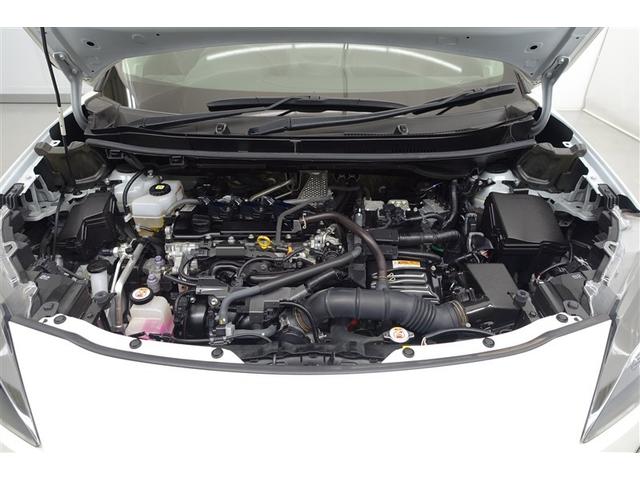 ���G���W�����[�����N���|�j���O�ς݁I�z�R����D�A�I�C������𗎂Ƃ��Ă��璚�J�ɐ�򂵂܂����I�����̂Ƃ���s�J�s�J�ł��I