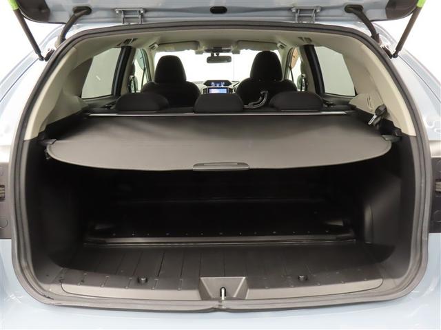 �J�������傫���A�ו��̏o�����ꂪ���N���N�ł��I